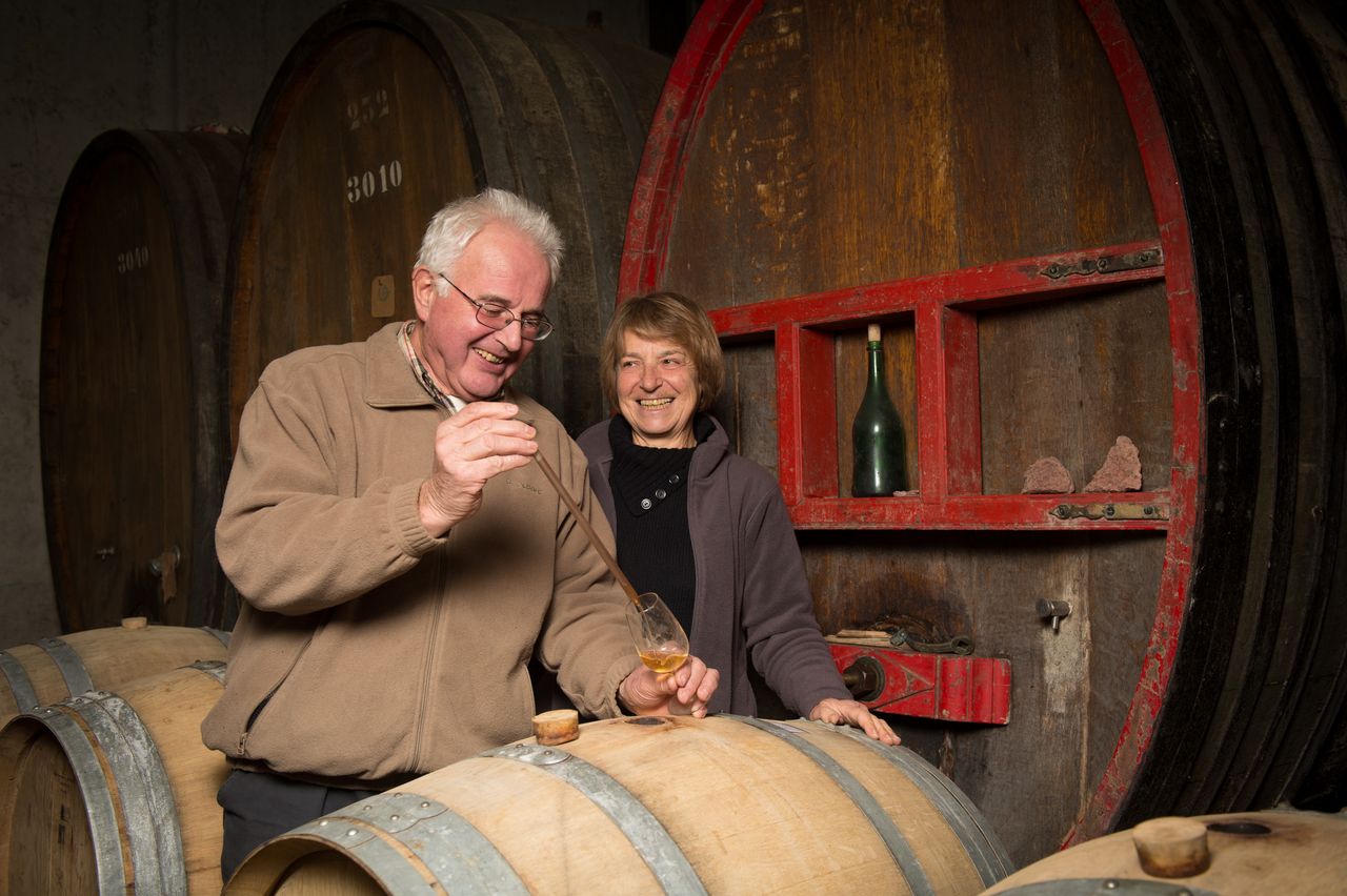Vins Vigneron Luc et Sylvie BOILLEY – FREMIOT BoilleyFremiot-0005